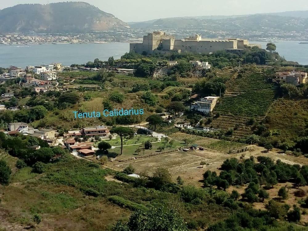 Tenuta Calidarius Baia  المظهر الخارجي الصورة